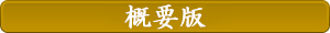 概要版