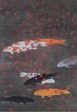 紅楓游鯉